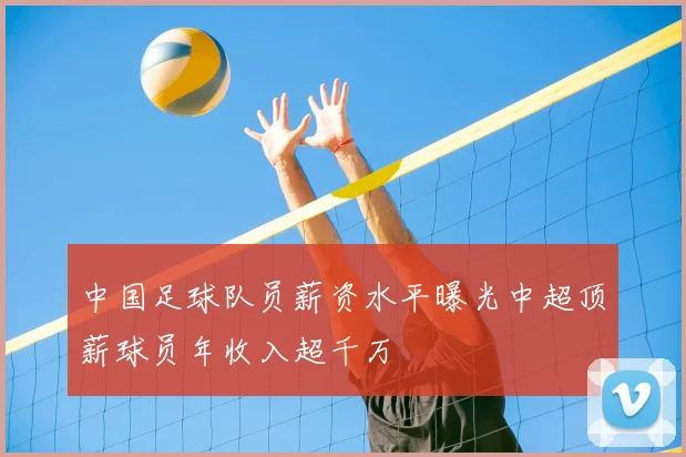 中国足球队员薪资水平曝光中超顶薪球员年收入超千万